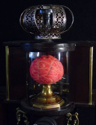 brain of Nikola Tesla